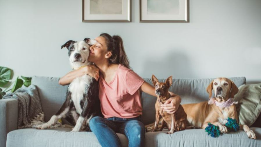 Preparing your home to sell with pets