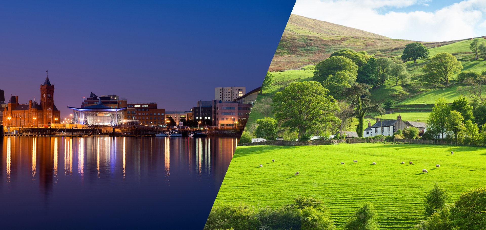 Cardiff Chartered Surveyors